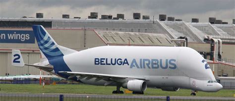 Airbus Beluga Price Specs Photo Gallery History Aero Corner