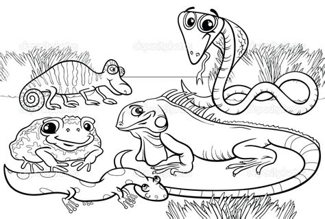 Amphibians Coloring Pages Coloring Pages