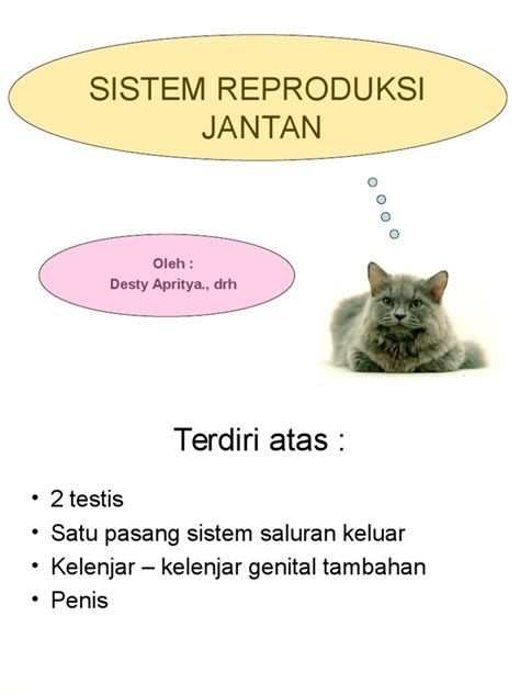 Pdf Sistem Reproduksi Jantan Ppt Dokumen Tips