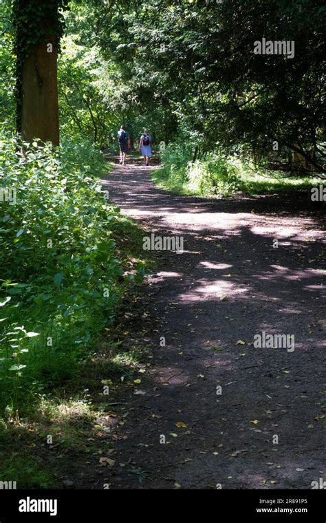 Walkers In Deciduous Woodland Stock Photo Alamy