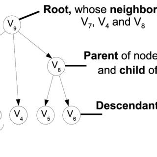 Illustration of graph theory terminology. | Download Scientific Diagram