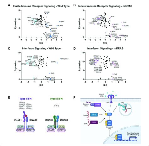 Gene Conservation In Pro Inflammatory Genes Gene Conservation Score