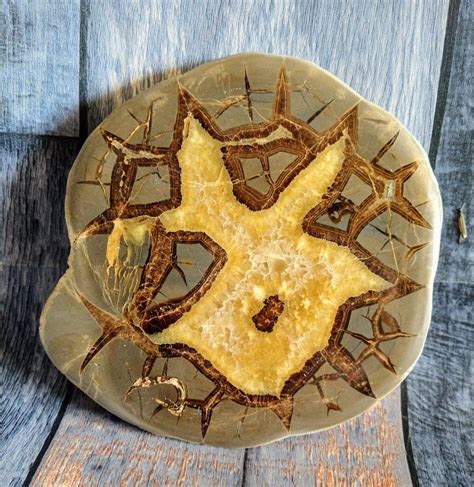 Septarian Nodule Slab From Utah Etsy