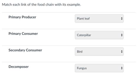 Introduction To Ecology Flashcards Quizlet