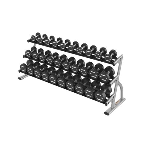 Lifefitness Three Tier Short Long Saddle Dumbbell Racks Axiom Series