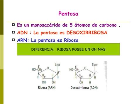 Resumen Biopolimeros Ppt Descarga Gratuita