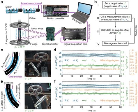 Closed‐loop Control A A Detailed Circuit Diagram Of The Closed‐loop Download Scientific