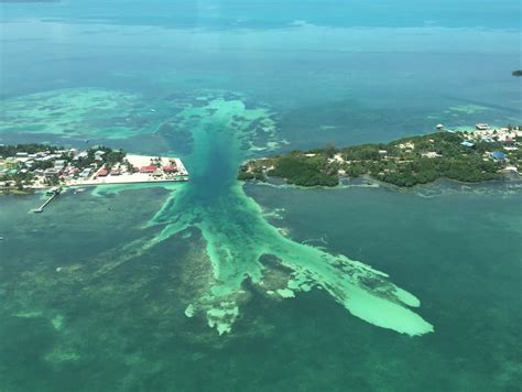 Belize Que Faire Sur Lîle Magique De Caye Caulker