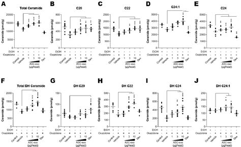 Figure 3 From Exosomes From Human Adipose Tissue Derived Mesenchymal