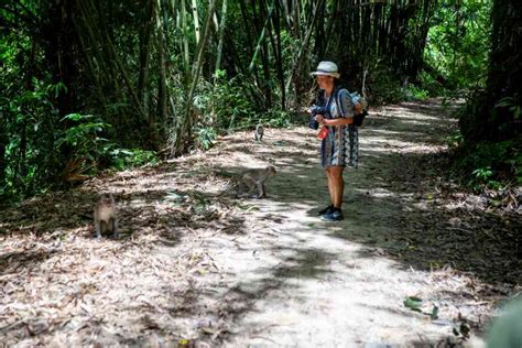 Khao Sok Jungle Trekking Discover The Magic Of The Rainforest