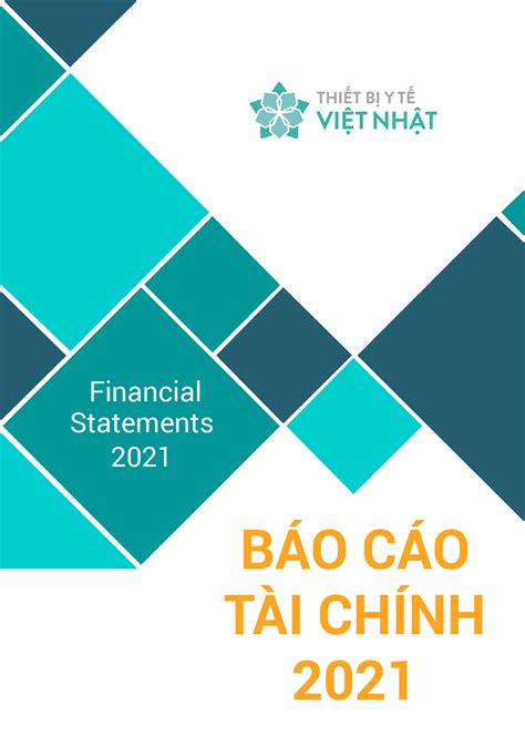 Báo cáo tài chính Công ty Cổ phần Đầu tư và Phát triển Y tế Việt Nhật