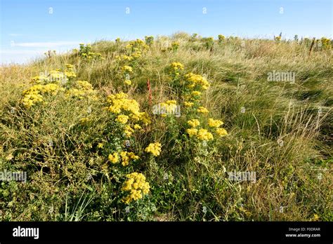 Beauty Spots In Fleetwood Hi Res Stock Photography And Images Alamy