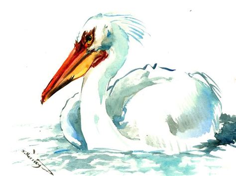 American White Pelican Artwork Painting Pelican Wall Art Etsy