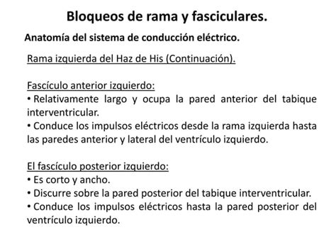 Bloqueos De Rama Y Fasciculares Ppt