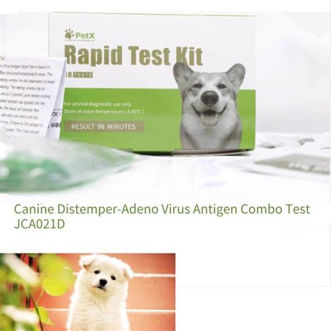 Canine Distemper Adeno Virus Antigen Combo Test China Distemper Test