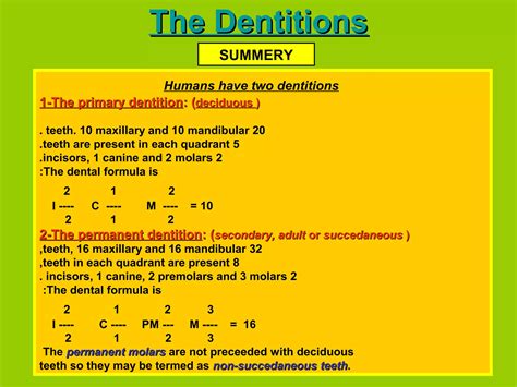 2 Human Dentition Intro 2 Ppt