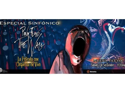 El cine concierto de Pink Floyd The Wall está de regreso