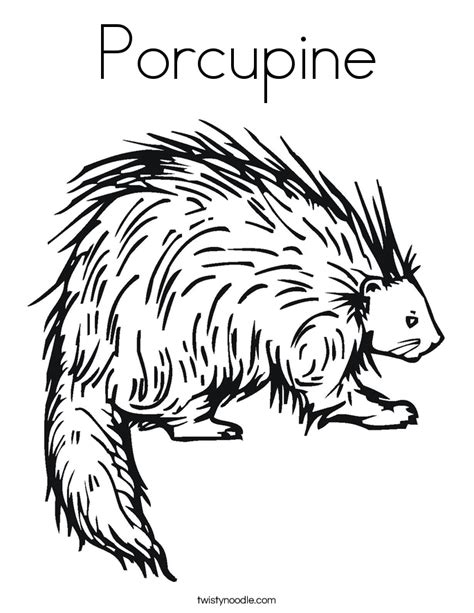 Porcupine Coloring Page - Twisty Noodle