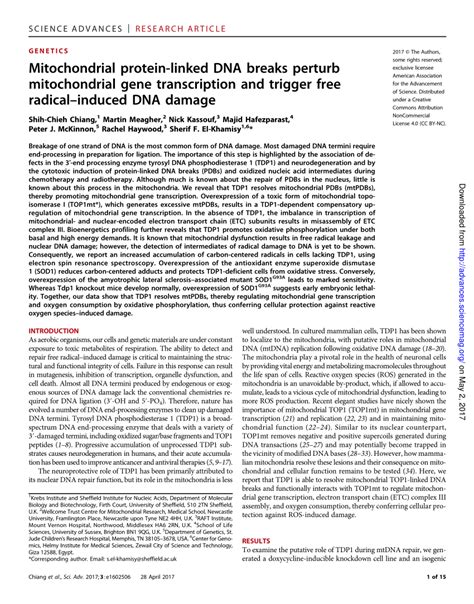 Pdf Mitochondrial Protein Linked Dna Breaks Perturb Mitochondrial Gene Transcription And