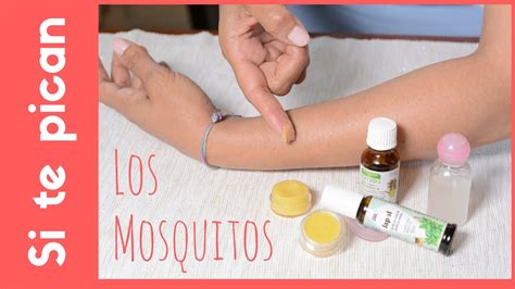 Crema Para Las Picadas De Mosquitos Youtube