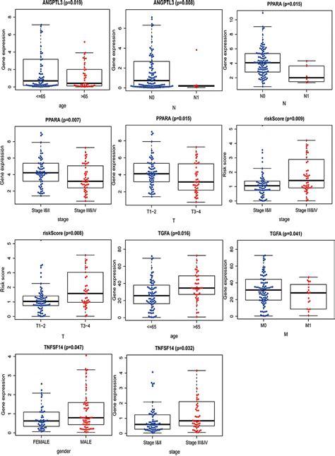 Frontiers Development And Validation Of A Clinical Prognostic Model