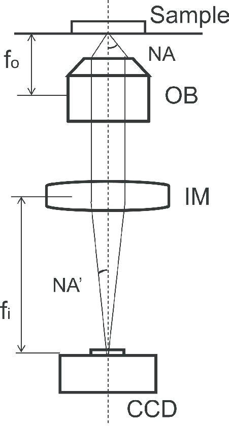 A diagram of an inverted microscope with an infinity-corrected optical ...