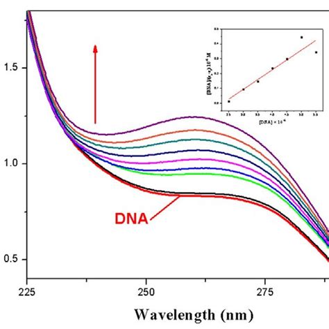 Cd Spectra Of Ct Dna And The Interaction With Complexes