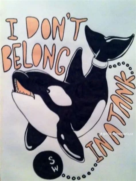 Pin By Houston Williams On Silhouette Art In Protest Art Orca