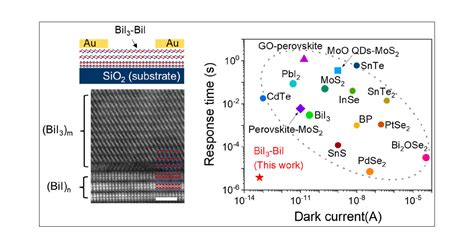 Alternating Bii Bii Van Der Waals Photodetector With Low Dark Current