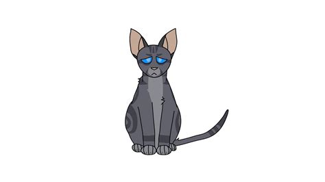 jayfeather - YouTube