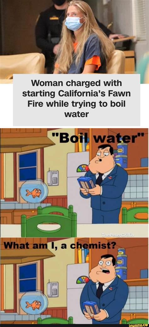 Woman Charged With Starting California S Fawn Fire While Trying To Boil Water What Ifunny