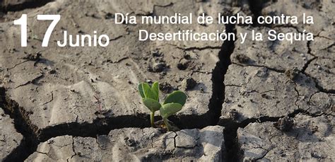 D A Contra La Desertificaci N Y La Sequia De Junio Ceip