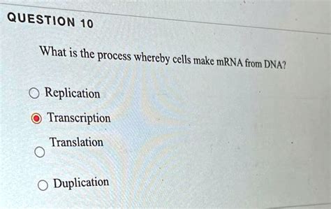 SOLVED QUESTION 10 What Is The Process Whereby Cells Make MRNA From