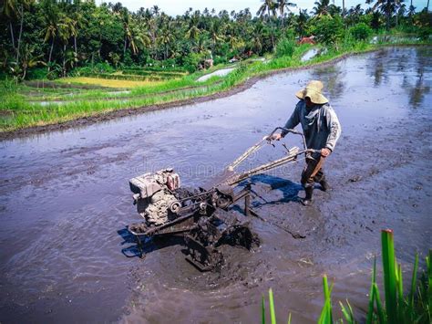 Un Granjero Y Su Tractor De Dos Ruedas En Un Día Soleado En Los