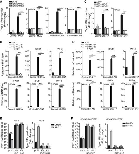 Regulation Of Sting Activity In Dna Sensing By Isg Modification Cell