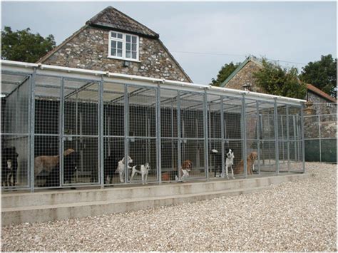 How to choose a kennel – Super Smart