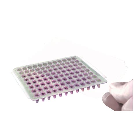 T Secureseal Transparent Sealing Film For Real Time Pcr Simport