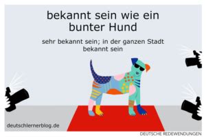 Bekannt Sein Wie Ein Bunter Hund Redewendungen Mit Beispielen