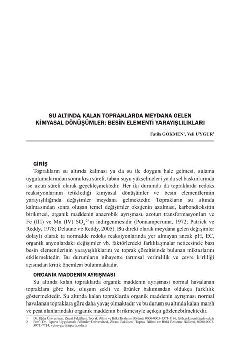 PDF SU ALTINDA KALAN TOPRAKLARDA MEYDANA GELEN KİMYASAL DÖNÜŞÜMLER