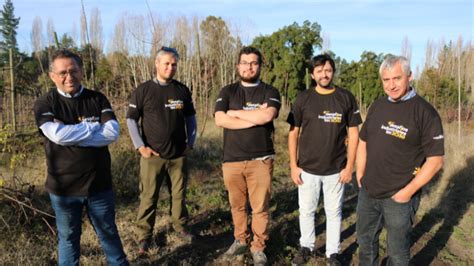 Estudiantes del Instituto Profesional Virginio Gómez trabajan en