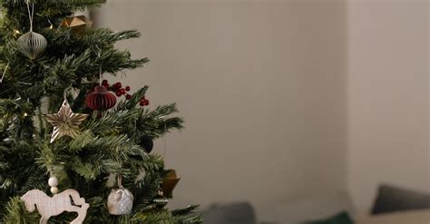 Christmas Tree in Close Up Shot · Free Stock Photo