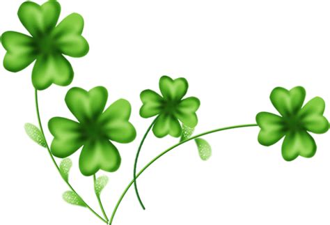 Shamrock Png Transparent Image Download Size 600x410px