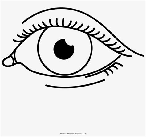 Eye Coloring Page Imagem De Olho Para Colorir 1000x1000 PNG