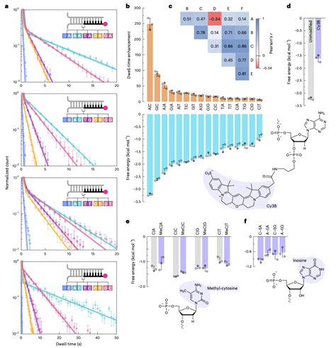 Nat Nanotechnol丨使用模式化dna纳米结构对dna碱基堆叠能量学进行单分子分析 韩达