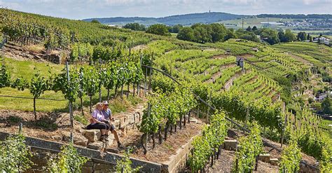 Rww N Panoramaweg H Lderlin Und Wein Bergfex Wanderung Tour