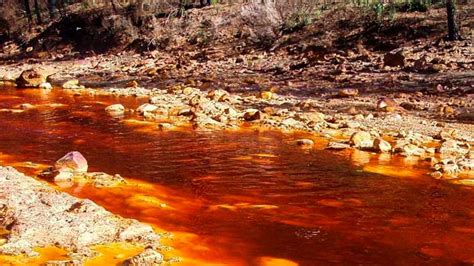 Advierten sobre el Uso Letal del Cianuro en la Minería Ilegal en