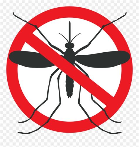 Mosquito Graphic - Dengue And Malaria Art Clipart (#781694) - PinClipart