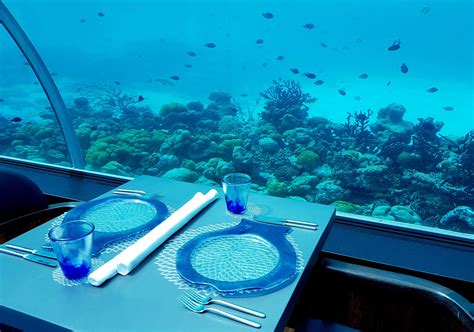 Fiji Poseidon Resort 77 Photo