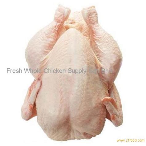 Frozen Chicken Full Boilers In Bag Malaysia Frozen Chicken Full Boilers