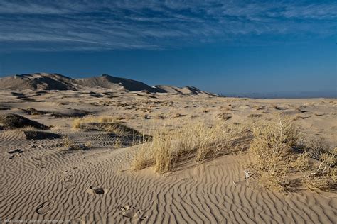 Kelso Dunes - Wikipedia